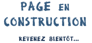 page-en-construction 2